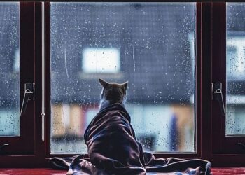 «-8 градуска чейин төмөндөйт». 7-8-сентябрда тоолуу райондордо үшүк жүрүшү күтүлөт