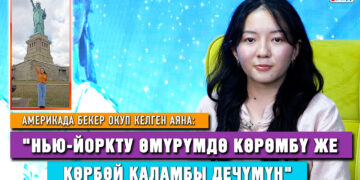 Американын мектебинде бир жыл бекер окугуңуз келеби?