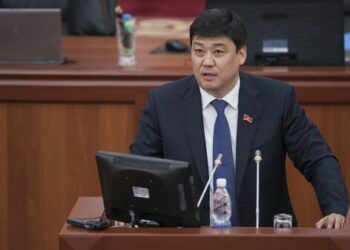 Депутаттардын айтканы боюнча өкмөт кызматтык иликтөө жүргүзөт