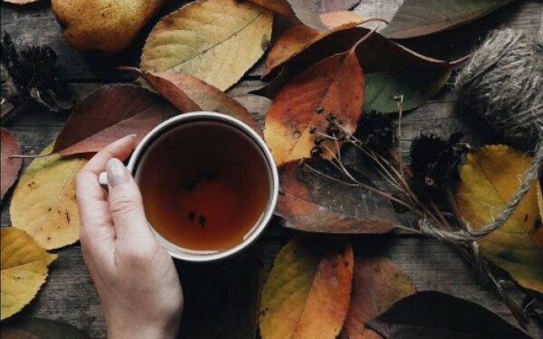 16-октябрга карата өлкөдө күтүлгөн аба ырайы