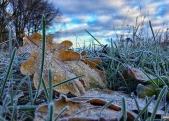 Шашылыш билдирүү: өлкөнүн айрым аймактарында үшүк жүрөт