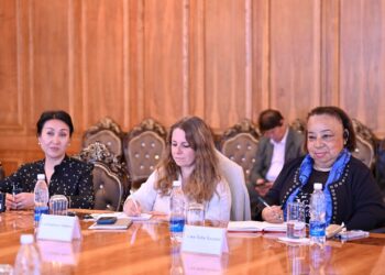 БУУнун майыптыгы бар адамдардын укуктары боюнча Атайын баяндамачысы Кыргызстанга келди