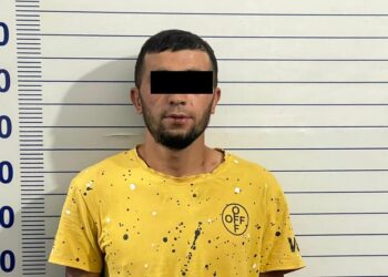 Араванда үйүнө кирип барып, келинди зордуктоого аракет кылган шектүү кармалды