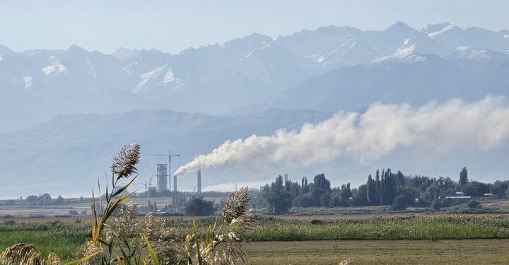 «Бишкектики жетпей жаткансып». Балбак Түлөбаев Канттагы цемент заводго нааразы болду