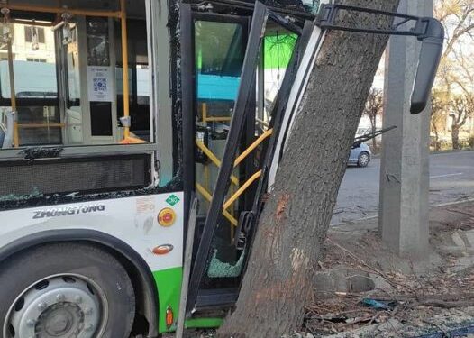 «Карточка алуу силерге ушунчалык оорбу?». Садыр Жапаров бишкектиктерге кайрылды