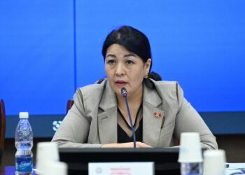 Депутат: «Психологиялык кызмат көрсөтүүлөр рыногу көп сандагы компетентсиз адистерге толуп баратат»