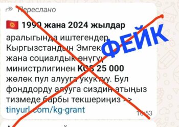 Эмгек министрлиги 25 миң сом жөлөк пул берип жатабы? Расмий жооп