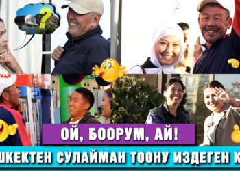 Ой, боорум, ай! Бишкектиктердин “башын айланткан” Айдай