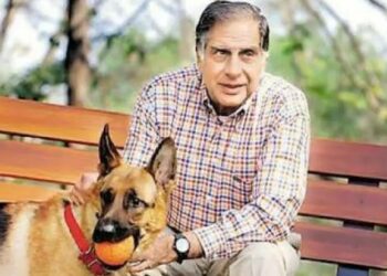 Индиялык жеке ишкер байлыгынын бир бөлүгүн итине таштап кетти