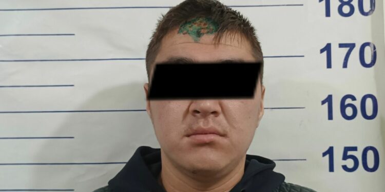 Бишкекте аял баласы менен көз жумган жол кырсык. Шектүү кармалды