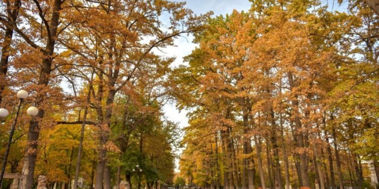 18-ноябрга карата өлкөдө күтүлгөн аба ырайы