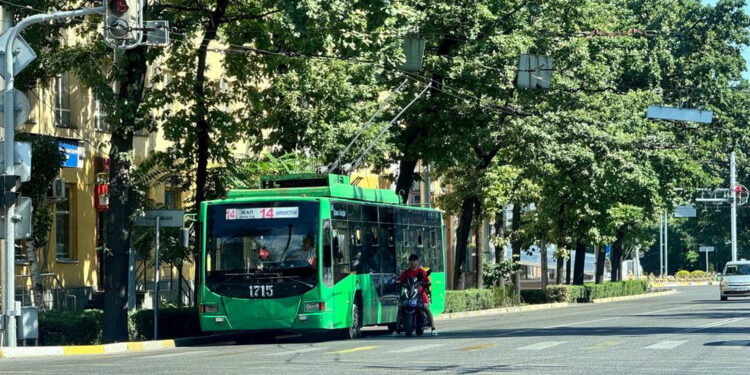 Бишкекте 4-7-ноябрь күндөрү троллейбус каттамы токтотулат