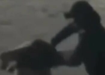 Бишкекте мурдагы аялын чачтан сүйрөп, зомбулук көрсөткөн шектүү кармалды