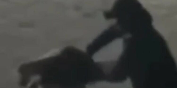 Бишкекте мурдагы аялын чачтан сүйрөп, зомбулук көрсөткөн шектүү кармалды