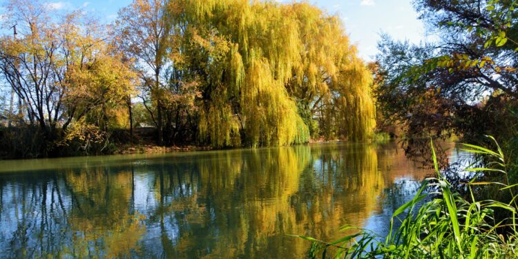 5-ноябрга карата өлкөдө күтүлгөн аба ырайы