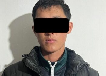 Сузак районунда жети баш кой уурдаган жаран кармалды