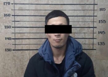 Бишкекте каракчылыкка шектелген жаран кармалды