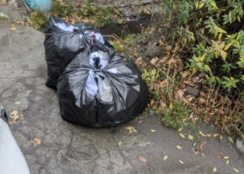 Бишкек мэриясы: Шаардыктар таштандыларды таштанды челектерине таштабай жатышат