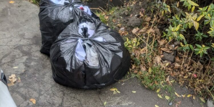 Бишкек мэриясы: Шаардыктар таштандыларды таштанды челектерине таштабай жатышат