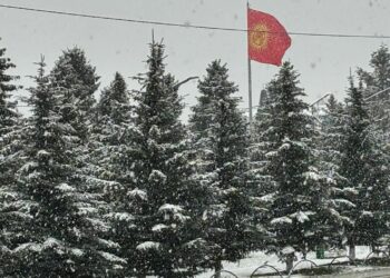 Караколдо кар жаады