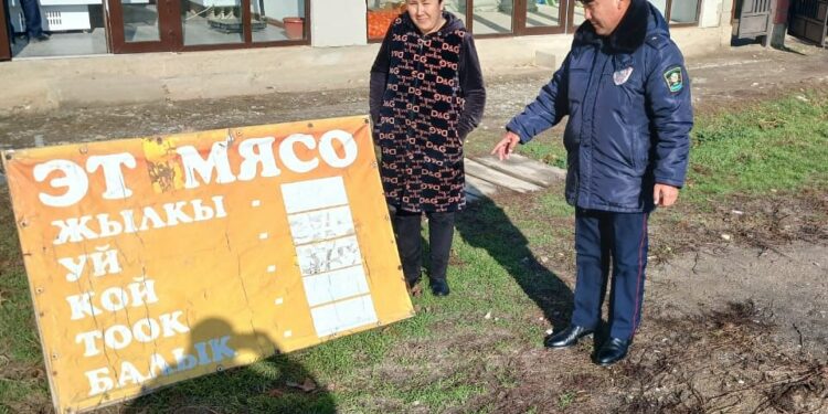 Мыйзамсыз орнотулган көрнөк-жарнактар үчүн 327 миң сом айып салынды