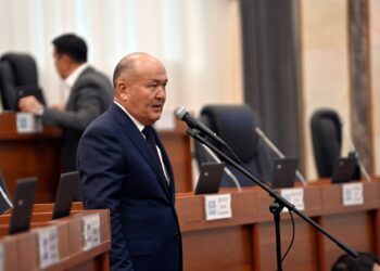 Депутат Токторбаев: «Цемент акыркы күндөрү аябай кымбаттап кетти»