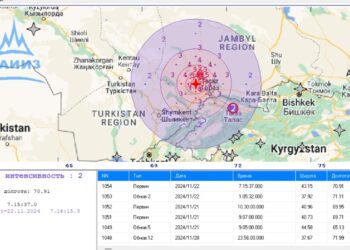 Таласта 4,5 баллга жеткен жер титирөө катталды