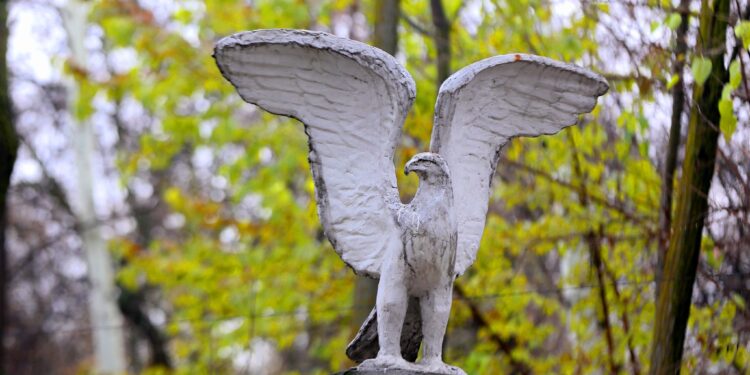 Оштогу күз. Көз жоосун алган сүрөттөр