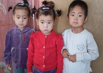 «Акчаны тамак-ашка араң жеткиребиз» дейт 2019-жылы 3 эм төрөгөн келин