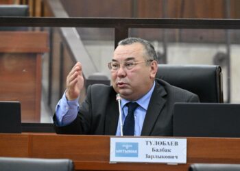 Депутат: «Өкмөт акыркы күндөрү элди айып пул менен кыйнап жатат»