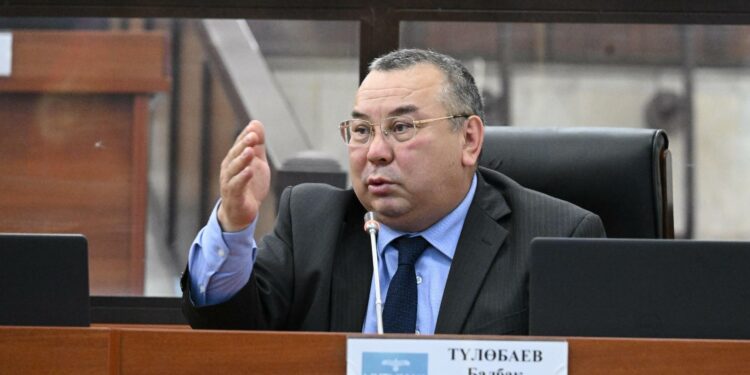 Депутат: «Өкмөт акыркы күндөрү элди айып пул менен кыйнап жатат»