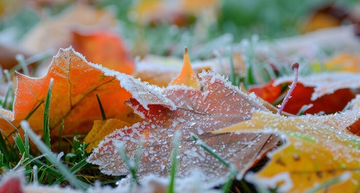 24-ноябрга карата өлкөдө күтүлгөн аба ырайы