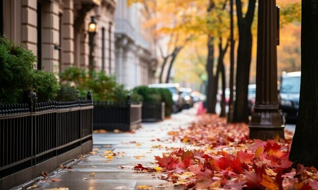 6-ноябрга карата өлкөдө күтүлгөн аба ырайы