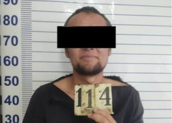 Токмокто адам өлтүрүү катталды