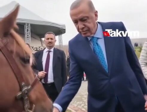 Садыр Жапаров Түркиянын президентине эмне белек кылды?