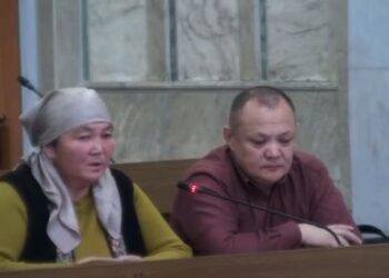 Эки айылдын балдарынын мушташында уулунан ажыраган апа Жогорку Кеңешке келди