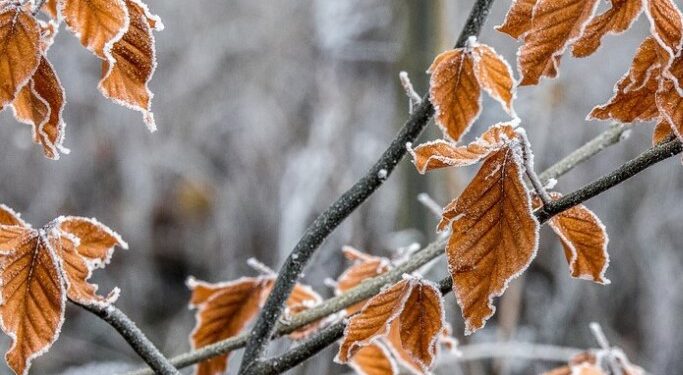 13-14-ноябрь күндөрү суук болушу күтүлүп жатат