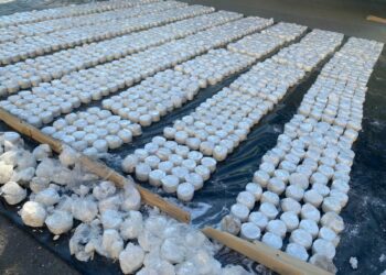 УКМК ири өлчөмдө баңгизат ташыган эл аралык топтун мүчөсүн Бишкектен кармады