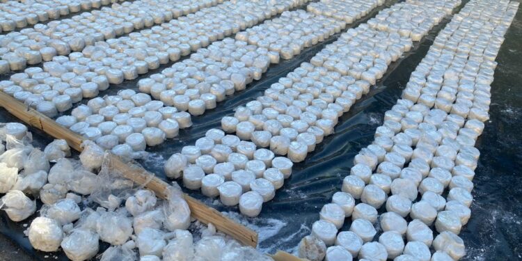 УКМК ири өлчөмдө баңгизат ташыган эл аралык топтун мүчөсүн Бишкектен кармады