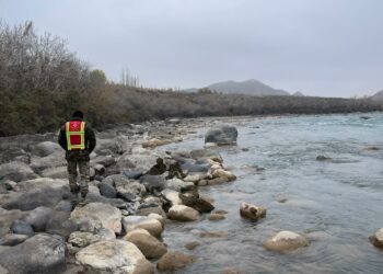 Нарын дарыясына секирип кеткен кызды 40ка жакын адам издеп жатат
