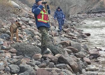 Жумгалда дайынсыз болуп жаткан ата-бала мындан ары бир жумада эки жолу изделет