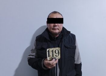 Токмокто аялын жана майыптыгы бар уулун аёосуз сабап келген ата кармалды