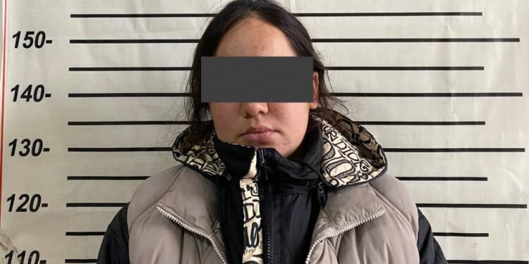 Токтогулда 14 тургунду алдап кеткен шектүү келин кармалды