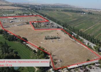 Бишкектин четиндеги 300 гектардан ашык жер мыйзамсыз берилгени аныкталды