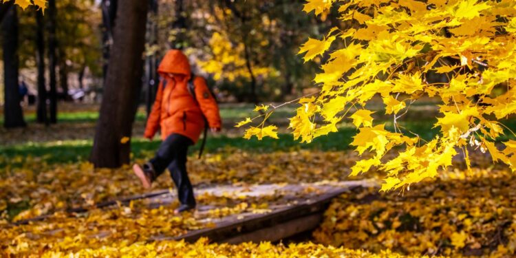 4-декабрга карата өлкөдө күтүлгөн аба ырайы