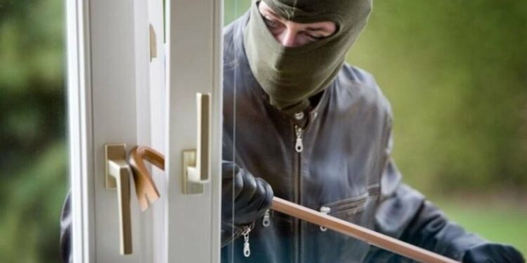 Орусияда уурулукка шектелип кыргызстандык кармалды