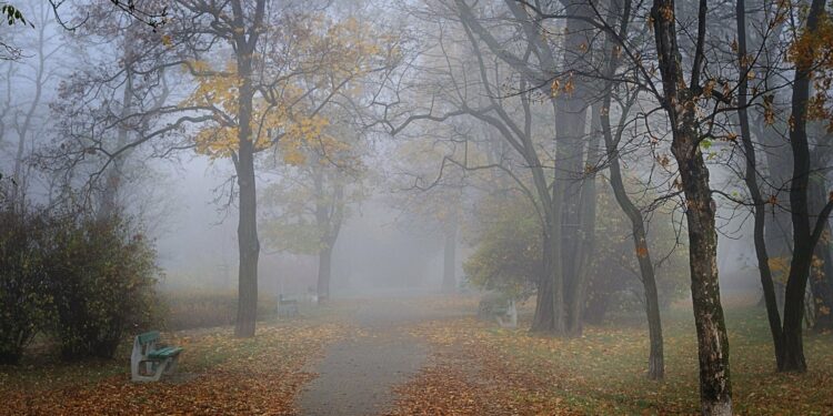 7-декабрга карата өлкөдө күтүлгөн аба ырайы