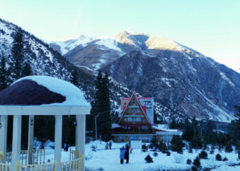 «Ала-Арча» улуттук паркынан канча сом түштү?