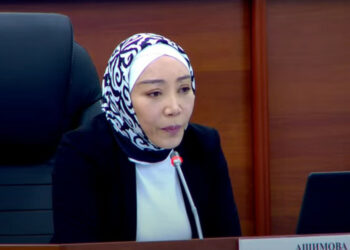 Депутат Министрлер кабинетинин төрагалыгына талапкерге: «Берген жоопторуңуз мени канаатандырбай жатат»