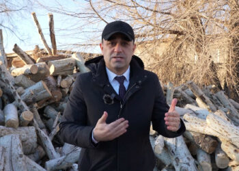 Рамиз Алиев баш болгон жетекчилер тартиптик жаза алышты